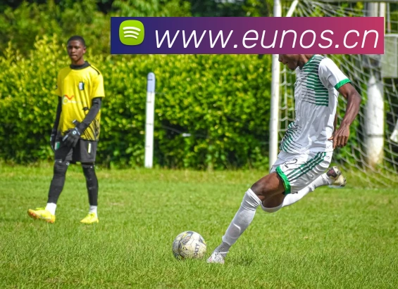 九游j9官方网站平台生态图